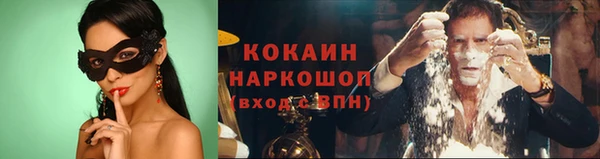 тгк Богданович