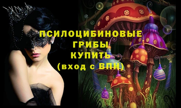 СК Верея