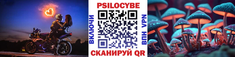 Галлюциногенные грибы прущие грибы  хочу наркоту  Жуковка 
